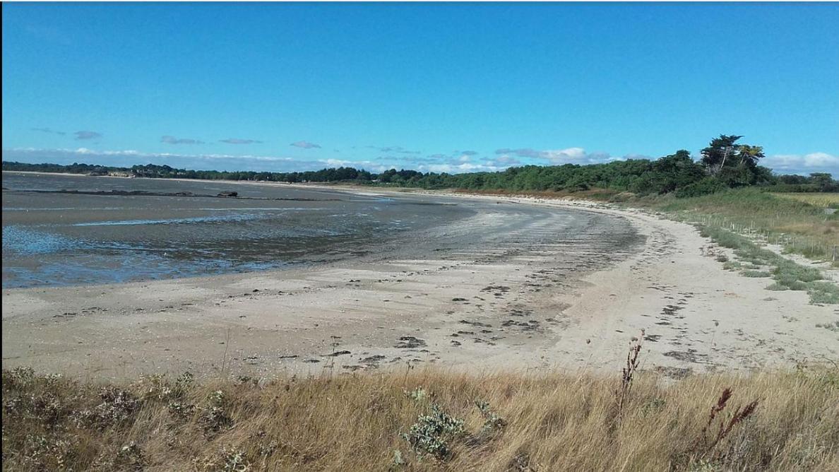 Maison Neuve , Plage A Pied Assérac Eksteriør bilde